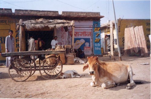 2003-01-01: Shiv, Thar Desert