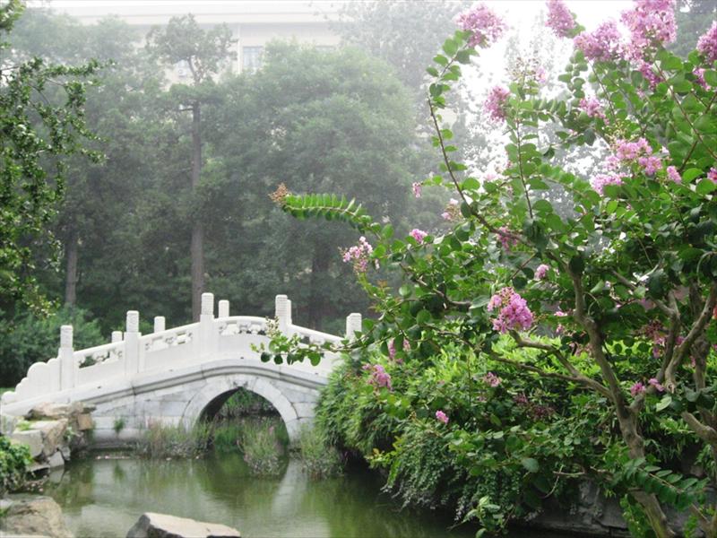 2008-07-28: Beijing - Bei Hai park