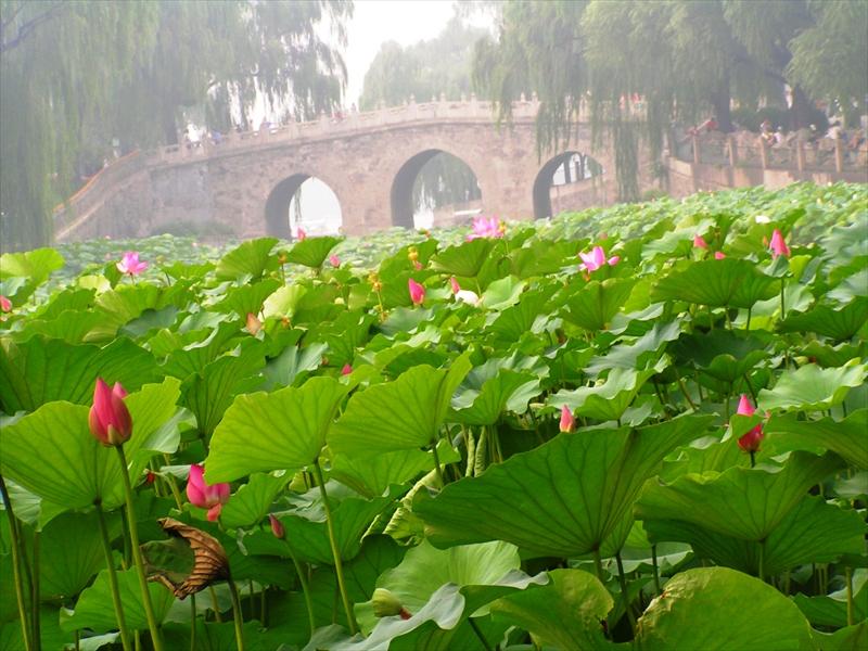 2008-07-28: Beijing - Bei Hai Park