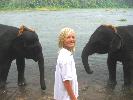 2008-11-16: Kodanad Elefant Camp