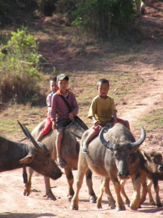 2005-01-01: Shan Mountains, Myanmar