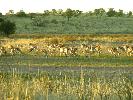2009-11-18: Kalahari
