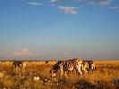 2009-11-04: Etosha National Park