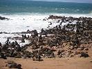 2009-10-29: Cape Cross Seal Colony, Skeleton Coast