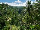 2011-08-30: Gunung Kawi