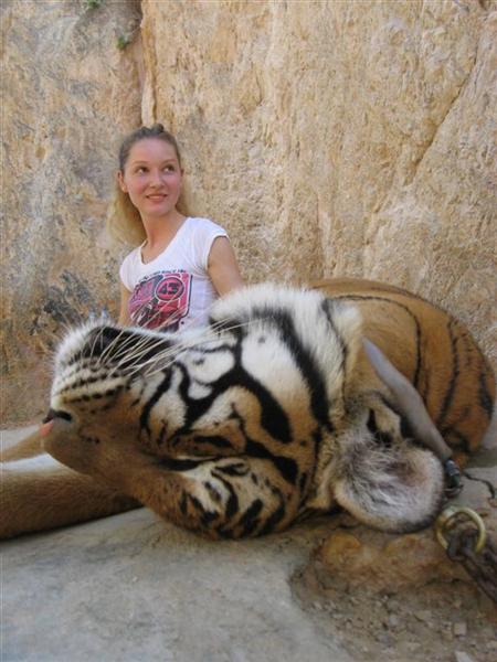 2007-06-10: Tiger Tempel, near Bangkok, Thailand