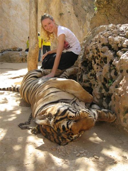 2007-06-10: Tiger Tempel, near Bangkok, Thailand
