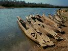 2014-02-11: Chitwan National Park