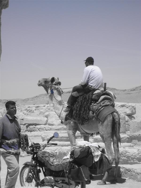 2008-04-19: Palmyra